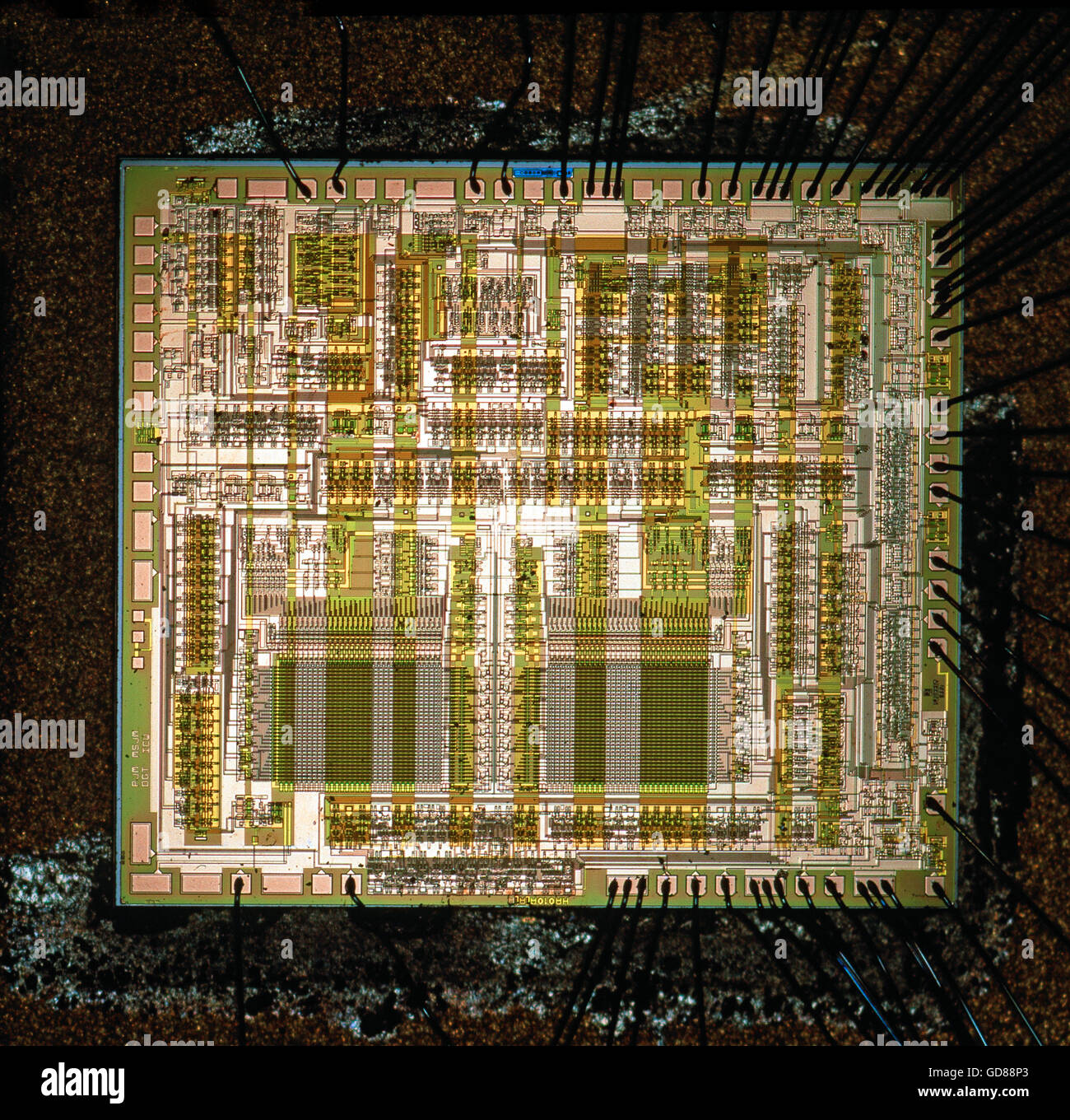 La puce de silicium semi-conducteurs de circuit intégré Banque D'Images