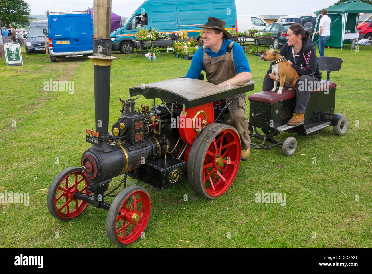 Homme conduisant un modèle du moteur de traction Burrell avec une femme et Bull Terrier chien sur une remorque pour le patrimoine 2016 Cleveland Roxby Banque D'Images