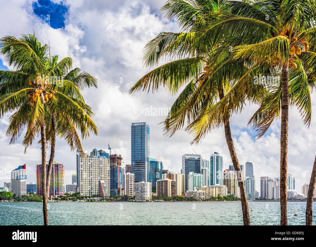 Miami, Floride, USA scieries sur le centre-ville. Banque D'Images