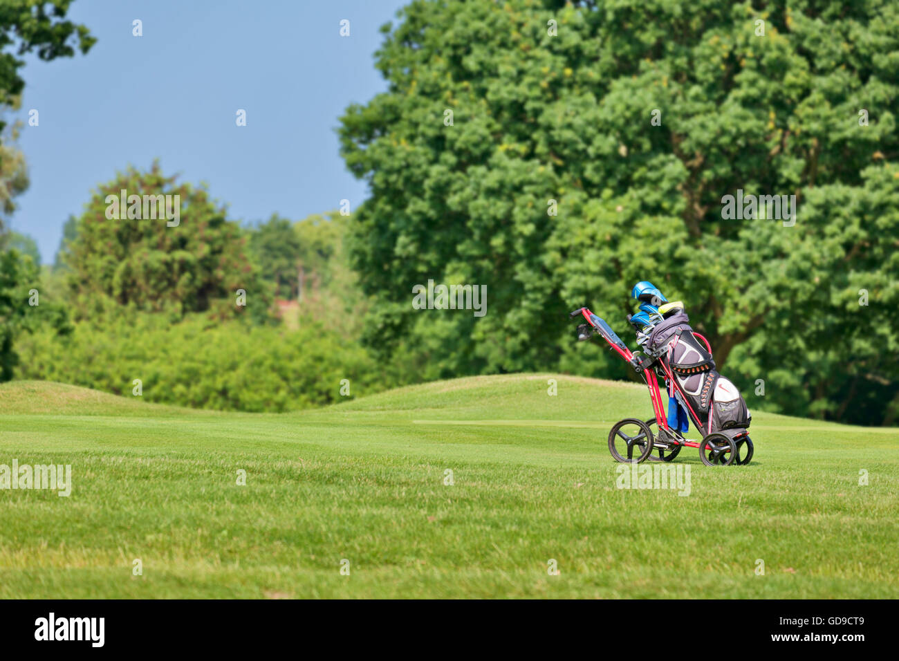 Chariot de golf à Finchley Golf Club Banque D'Images