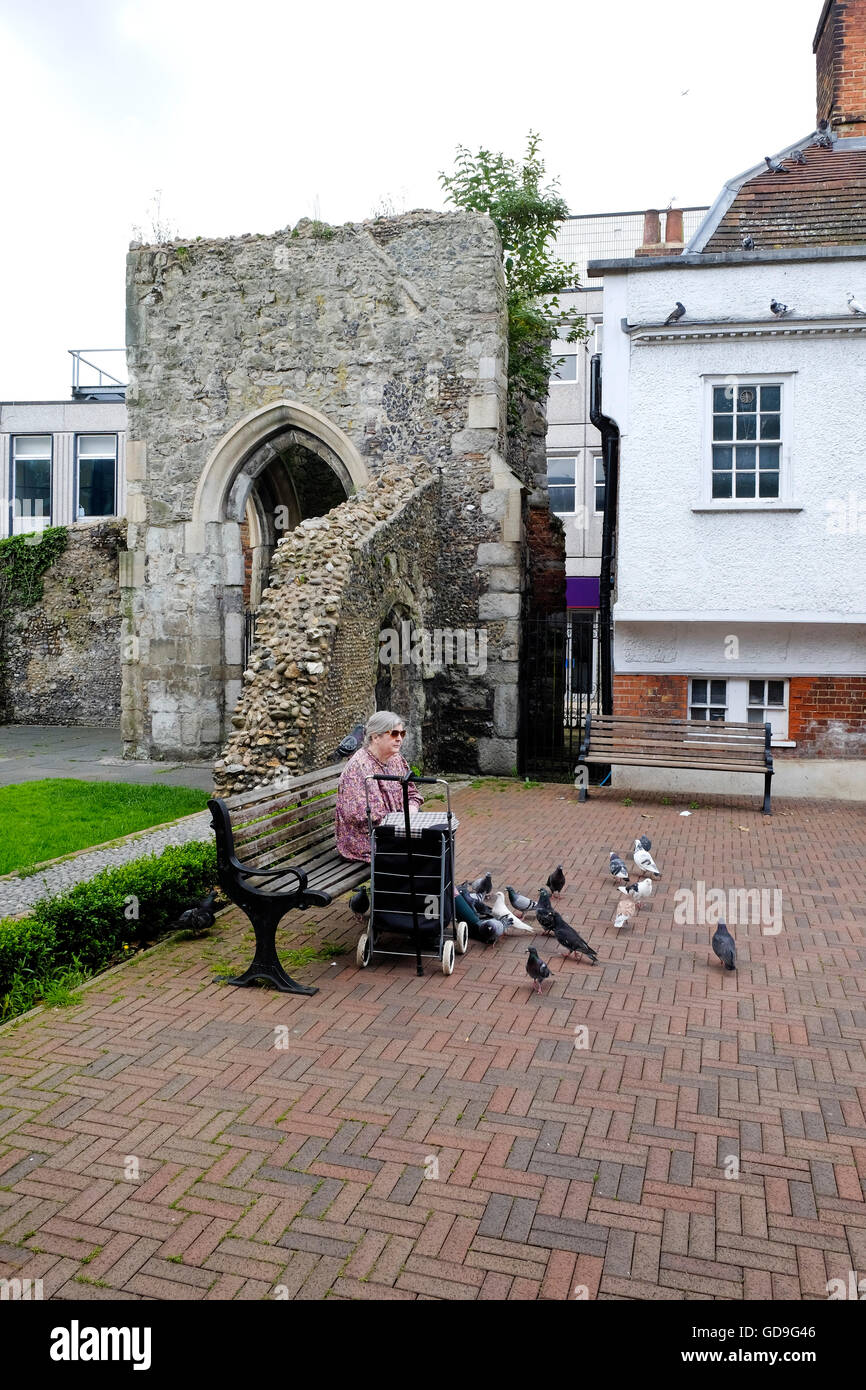 Une vieille dame se nourrit les pigeons dans les ruines de la chapelle de Thomas Becket dans le centre-ville de Brentwood Essex. Banque D'Images