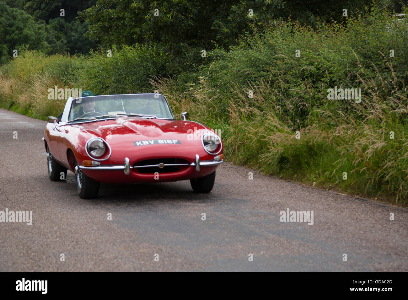 Jaguar Type E sur la route de l'Powderham Castle rassemblement à Devon Banque D'Images
