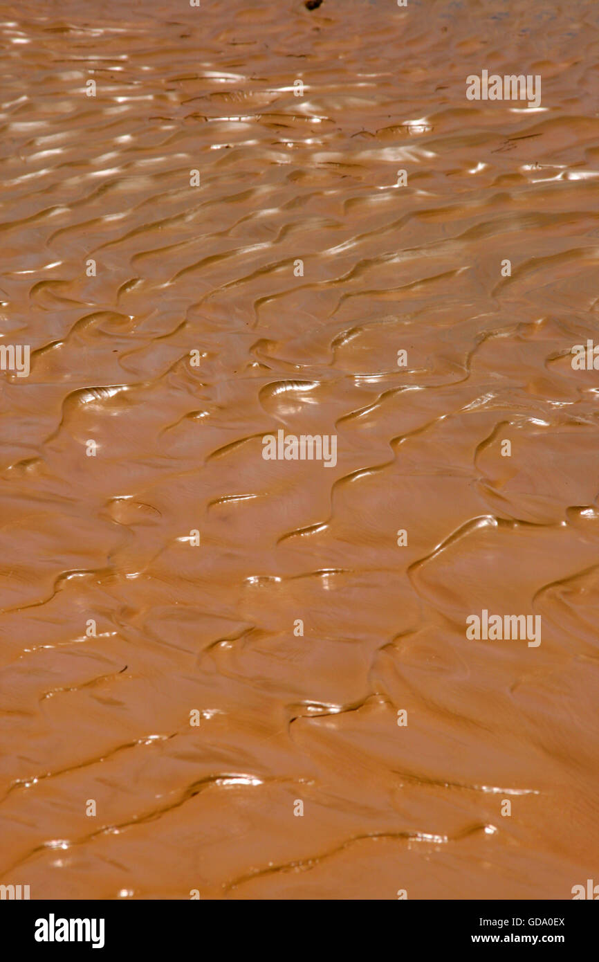 Le terrain dans le parc national de Death après de fortes pluies et des inondations Banque D'Images