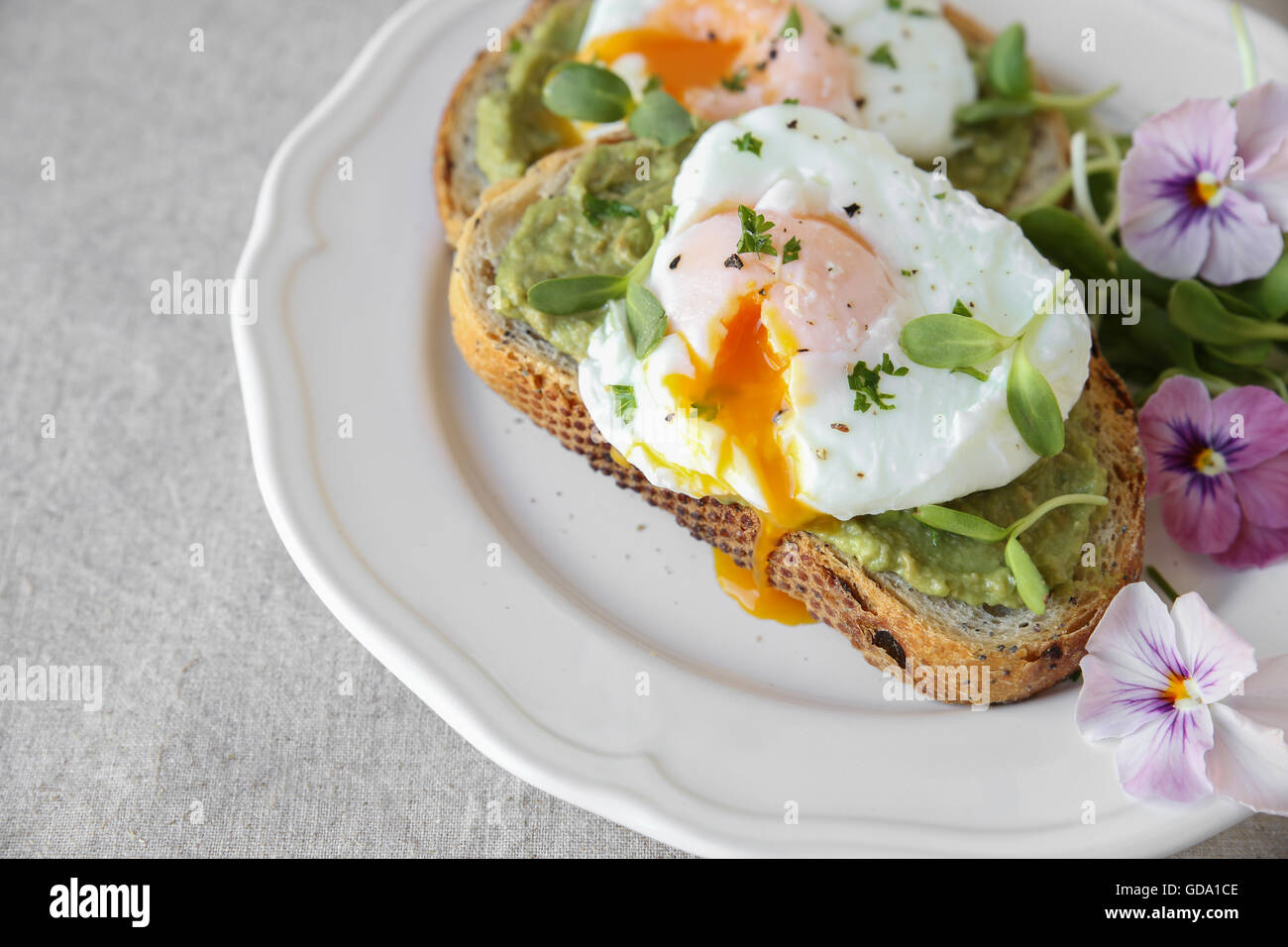 Œufs pochés à l'avocat et de germes de tournesol , fleurs comestibles sur des toasts au levain Banque D'Images