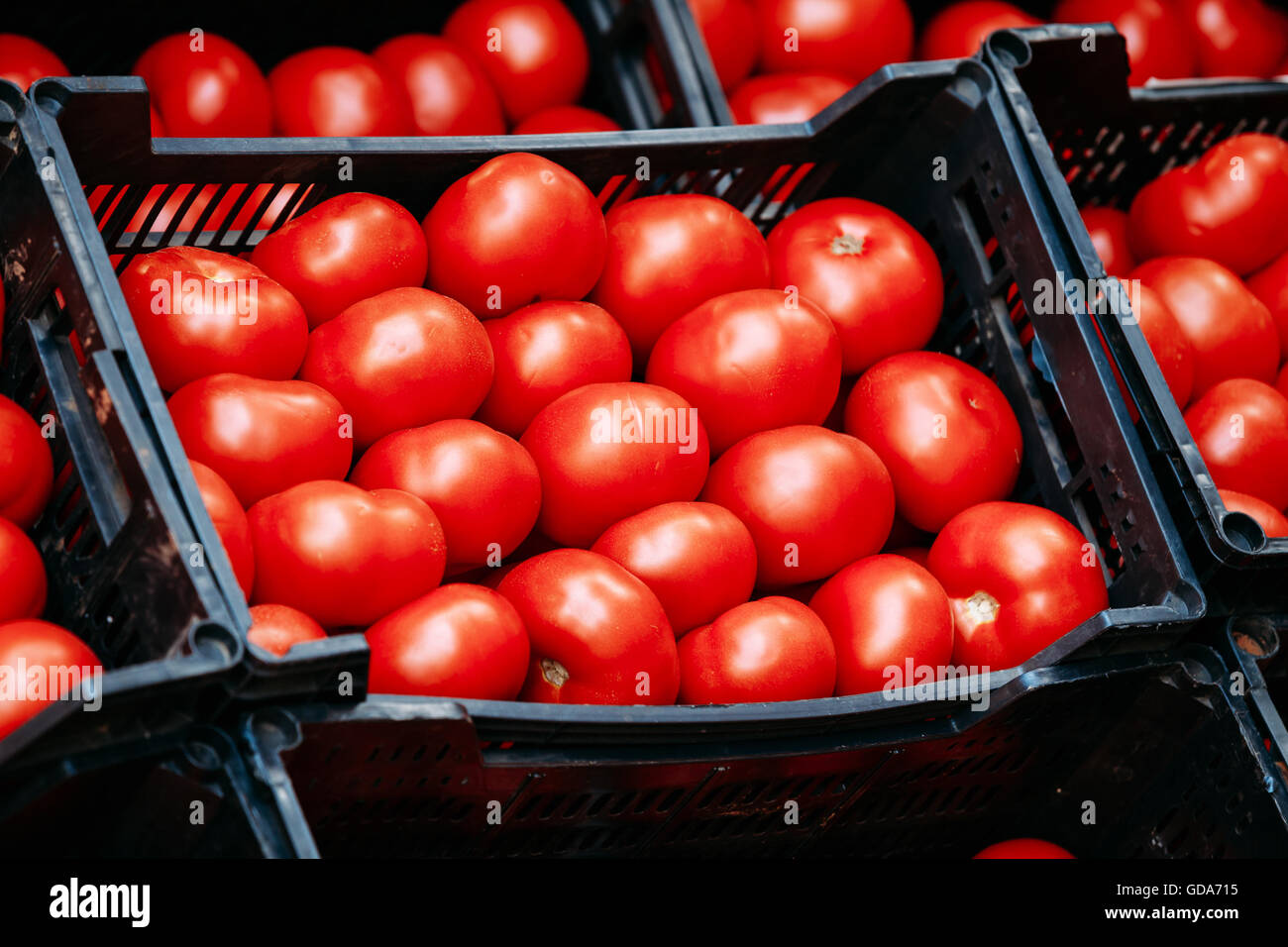 Des tomates rouges mûres sont dans les cases in market Banque D'Images