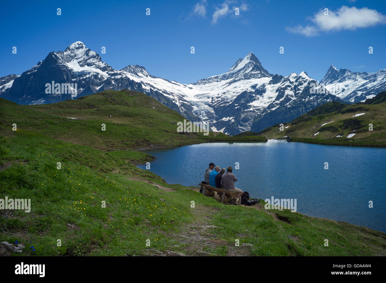 La Suisse. Oberland Bernois. 016 Juillet à pied de la première au dessus de Grindelwald dans les Alpes Suisses au lac de Bachalp Banque D'Images