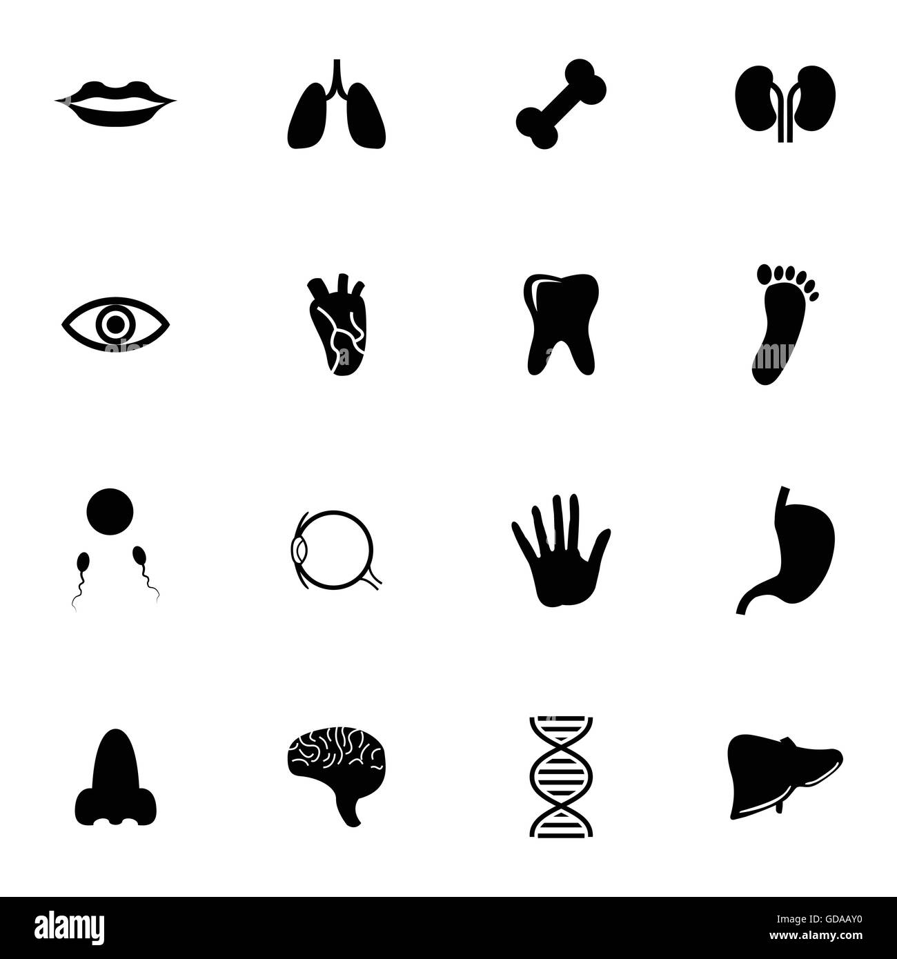 Anatomie noir Vector icons set Illustration de Vecteur