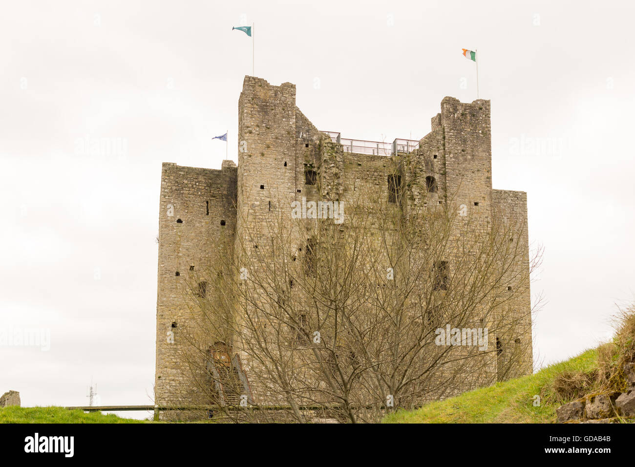 L'Irlande, le comté de Meath, le Château de Trim sous ciel blanc Banque D'Images