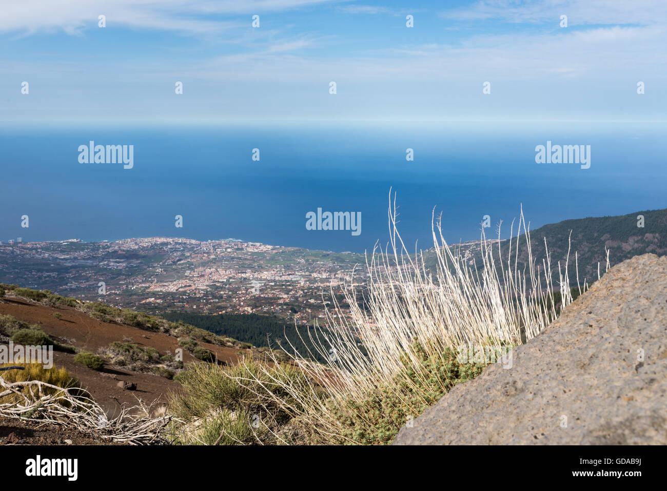 L'Espagne, Iles Canaries, Tenerife, randonnée sur la Picp del Teide. Le Pico del Teide (Teyde) est à 3718 m de l'altitude la plus élevée sur l'île des Canaries Banque D'Images