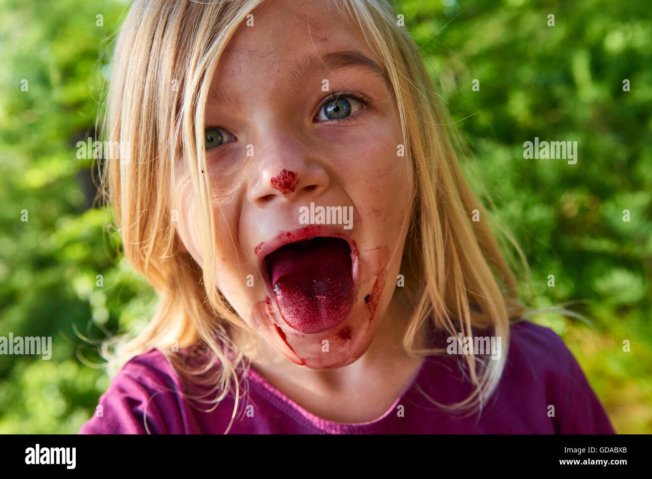 Girl montrant langue teintée par les bleuets. Cute blonde little girl picking les baies fraîches sur champ de bleuets en forêt. Banque D'Images