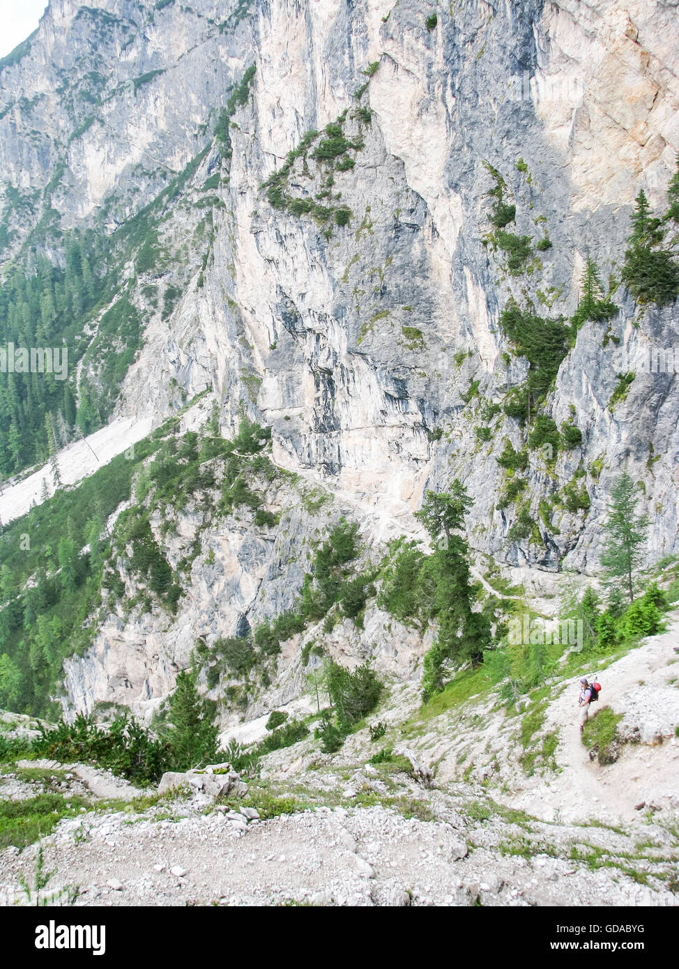 L'Italie, Trentin-Haut-Adige, Provincia di Bolzano, couverts de murs de roches descente du sommet de l'Herrsteig, wanderer en face d'une falaise abrupte wall Banque D'Images