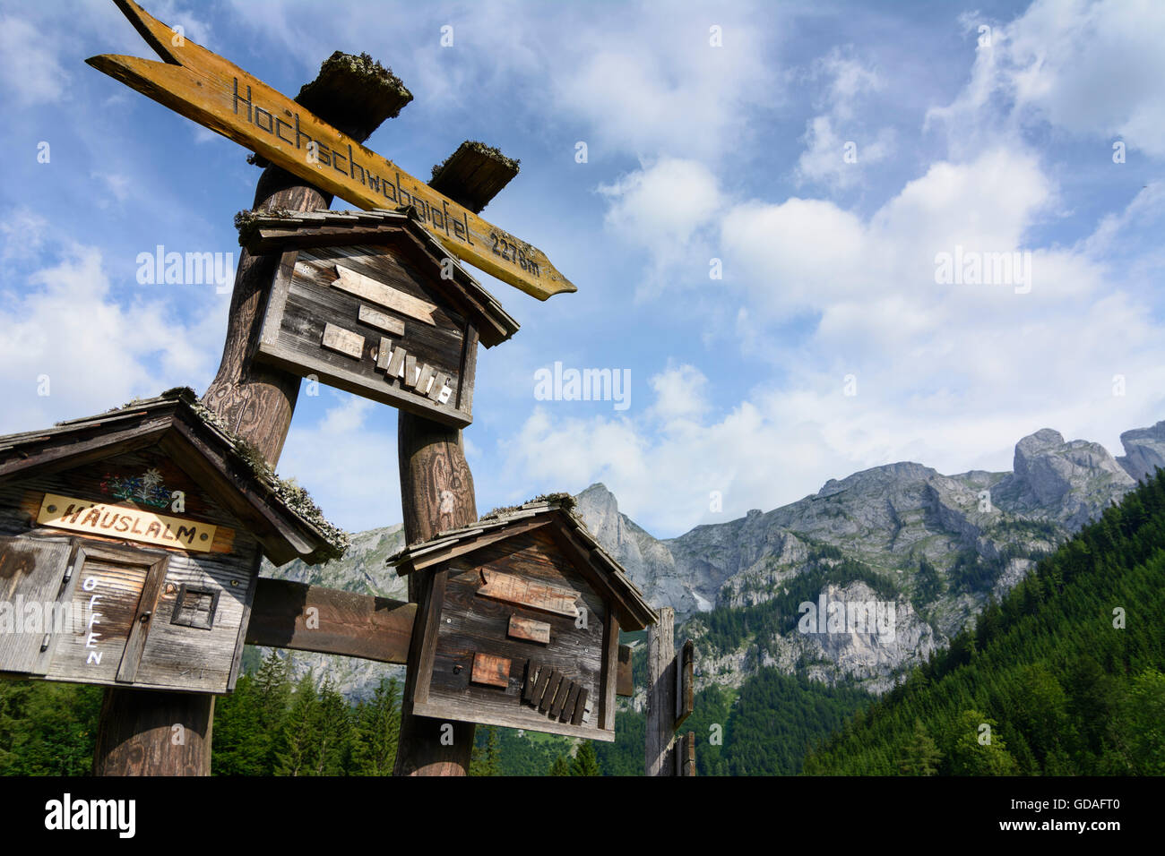 Hochschwab montagnes : les panneaux pour les pâturages ouverts devant les montagnes de la chaîne de montagnes Hochschwab, Autriche, Styrie, Carinthie, Banque D'Images