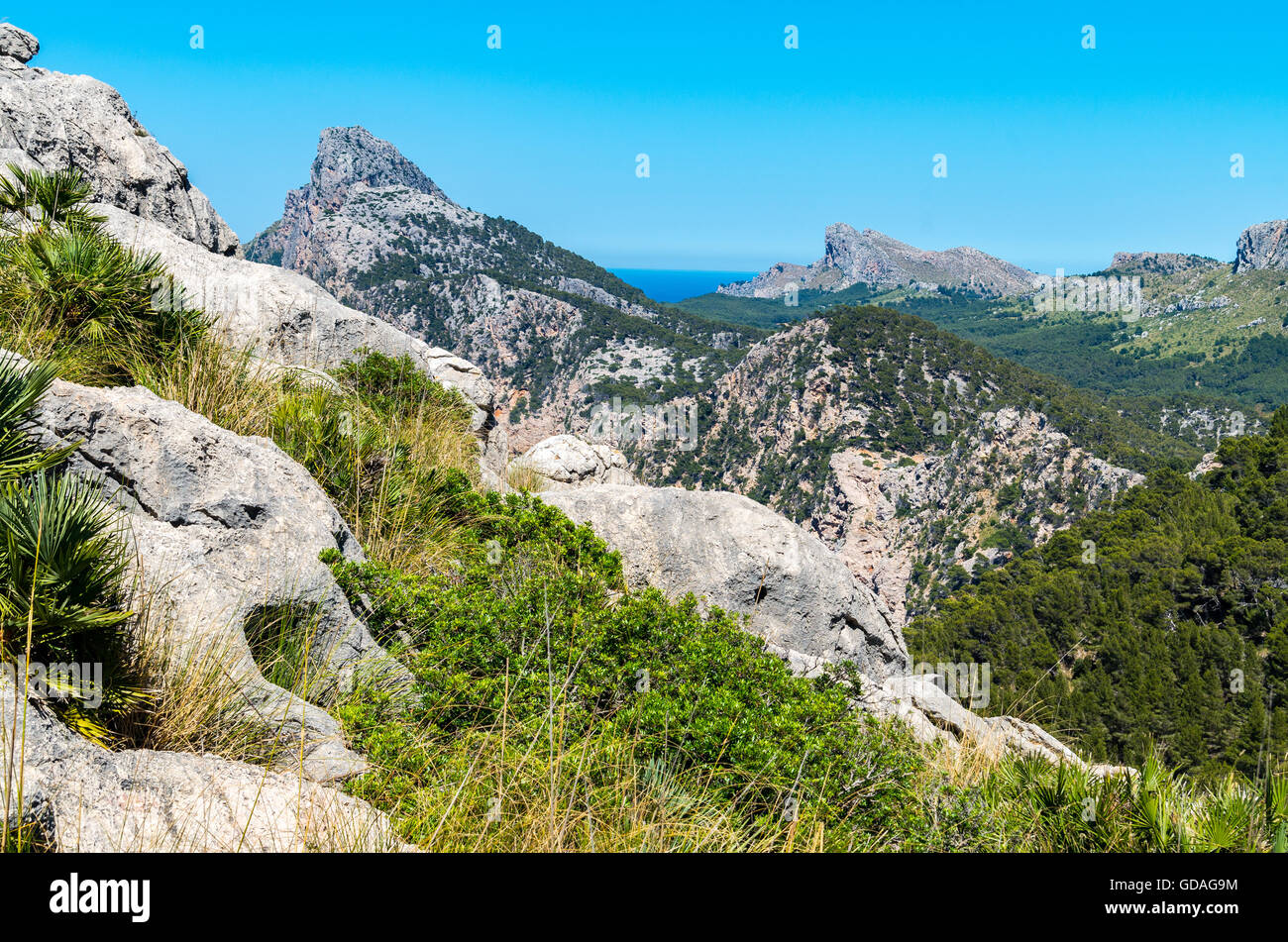 Majorque, Îles Baléares : Cap de Formentor vu du Mirador Colomer Banque D'Images