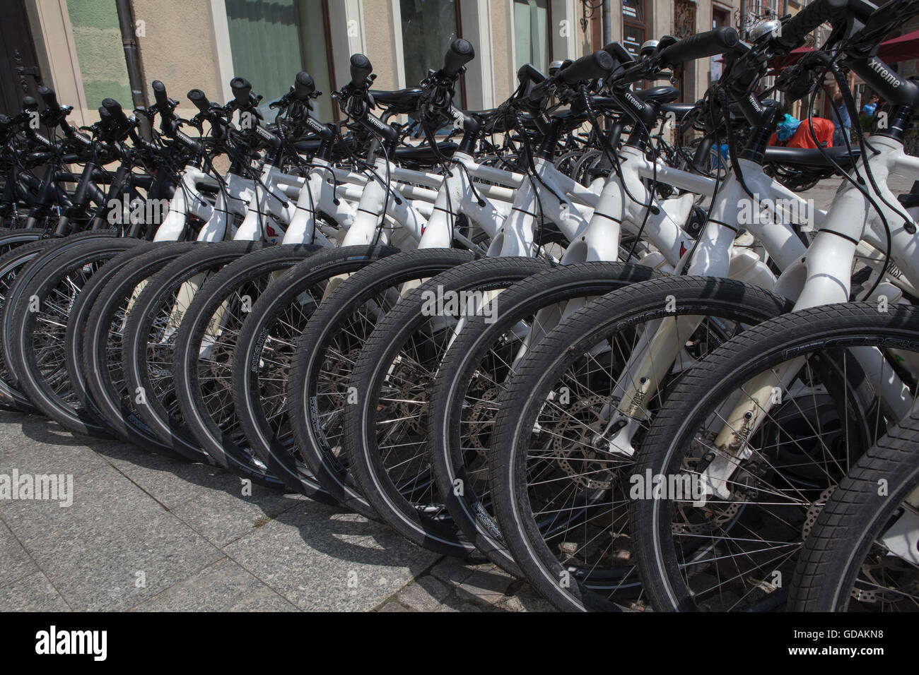 Vélos, vélos de route Banque D'Images