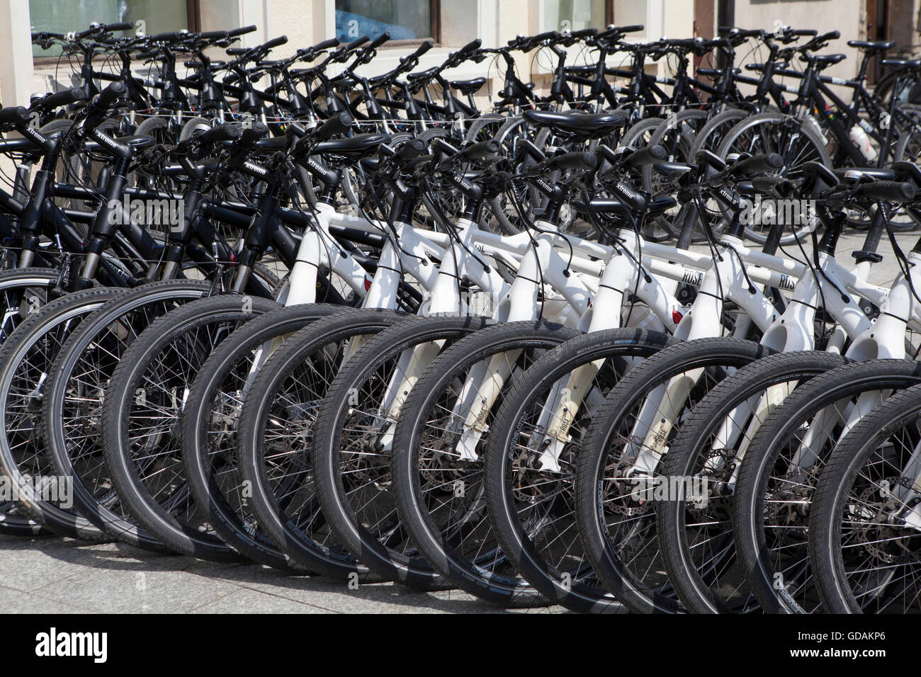 Vélos, vélos de route Banque D'Images
