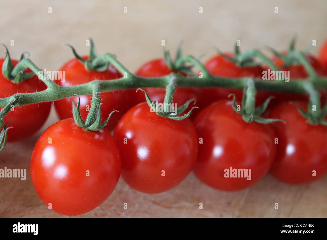 Tomates cerise sur la vigne, jardinage, issus de chez nous, frais, l'alimentation, l'alimentation saine de vitamine C, 5 par jour Banque D'Images