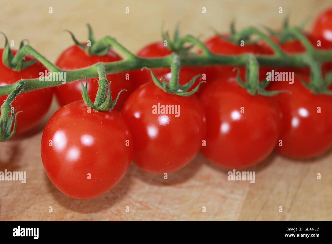 Tomates cerise sur la vigne, jardinage, issus de chez nous, frais, l'alimentation, l'alimentation saine de vitamine C, 5 par jour Banque D'Images