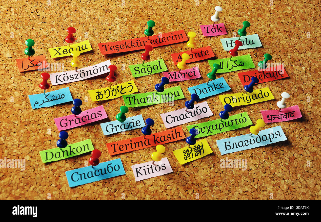 Merci mot sur du papier de couleur différentes langues épinglé sur le panneau de liège Banque D'Images