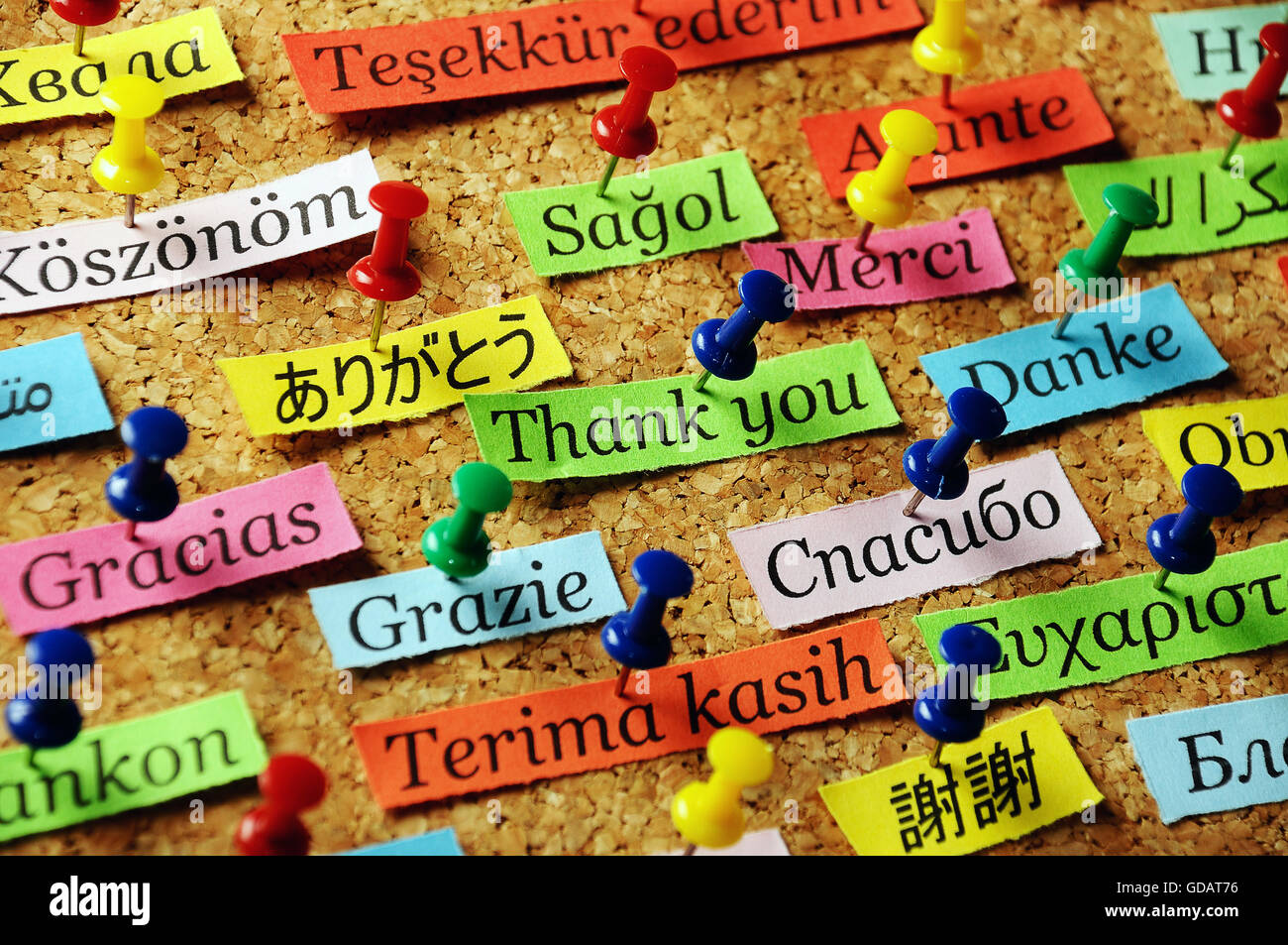 Merci mot sur du papier de couleur différentes langues épinglé sur le panneau de liège Banque D'Images
