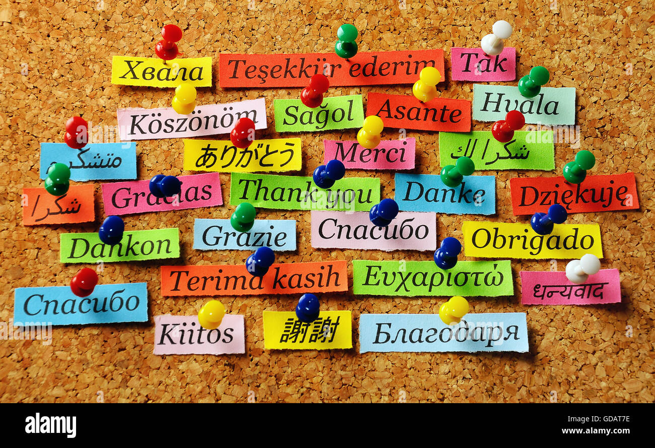Merci mot sur du papier de couleur différentes langues épinglé sur le panneau de liège Banque D'Images