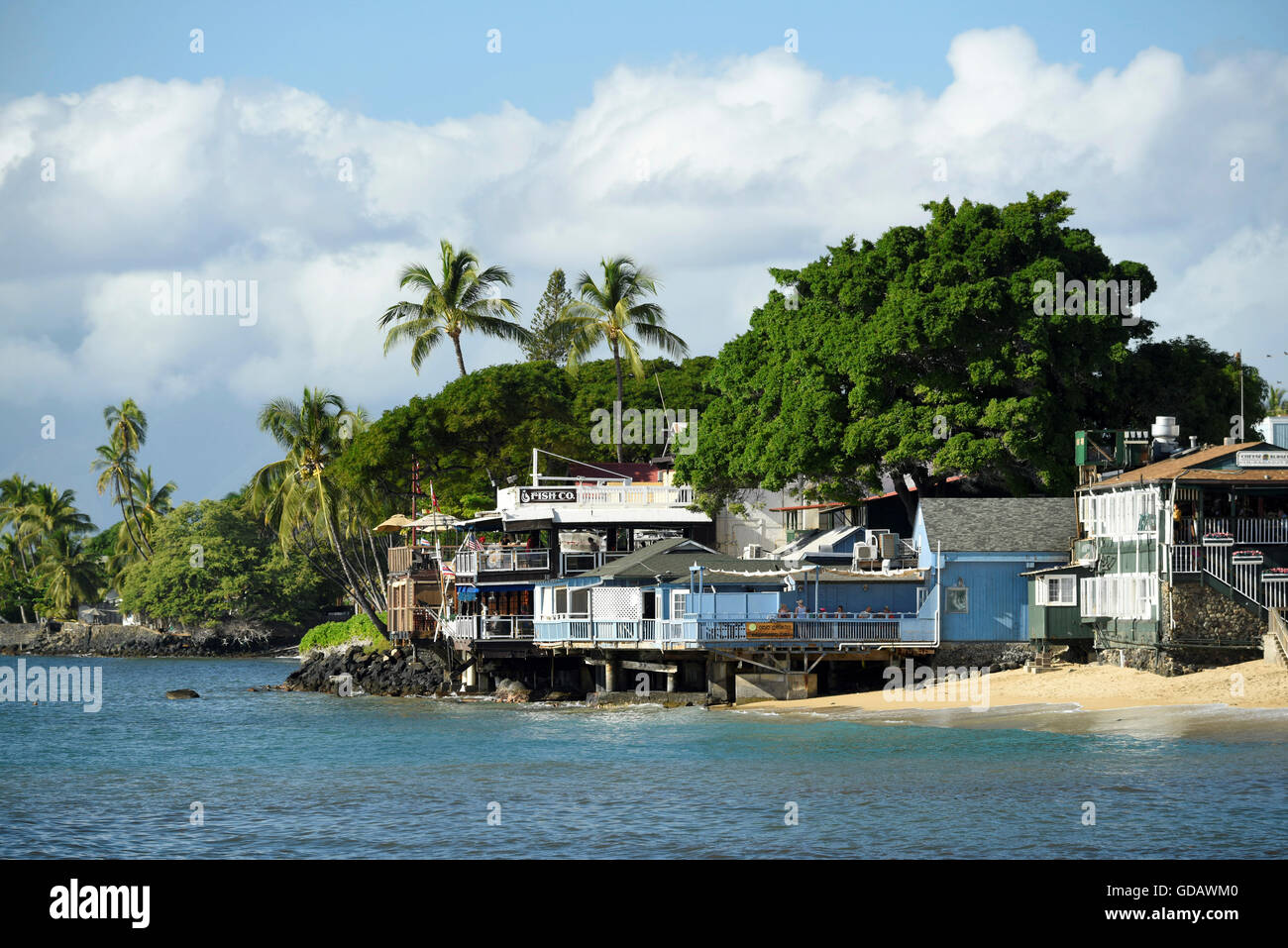 USA,Europa,,New York,Maui Lahaina,île, Banque D'Images