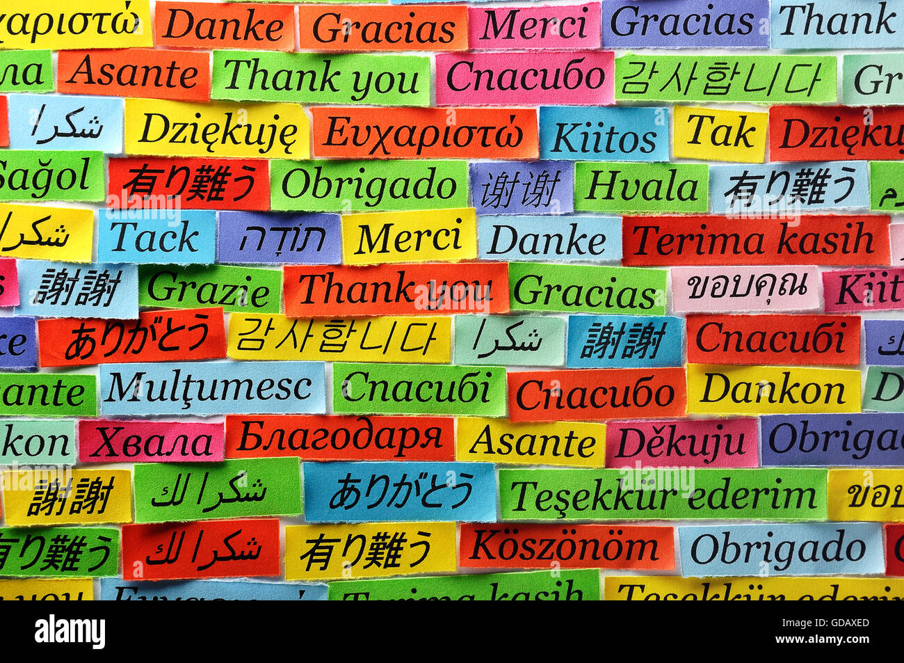 Merci Nuage de mots imprimés sur du papier de couleur différentes langues Banque D'Images