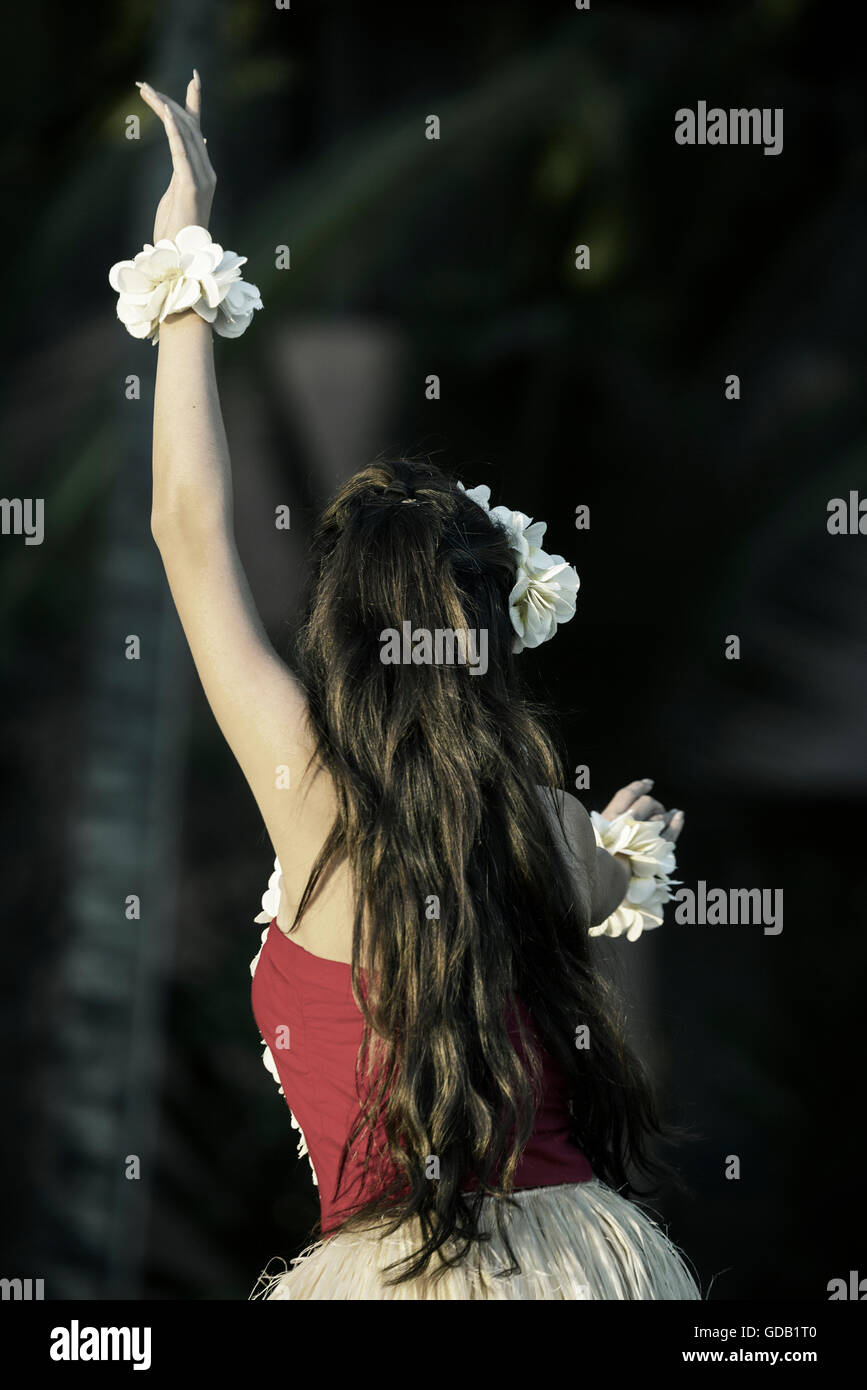 USA, Hawaii, Oahu, Honolulu, Waikiki,fille hula Banque D'Images