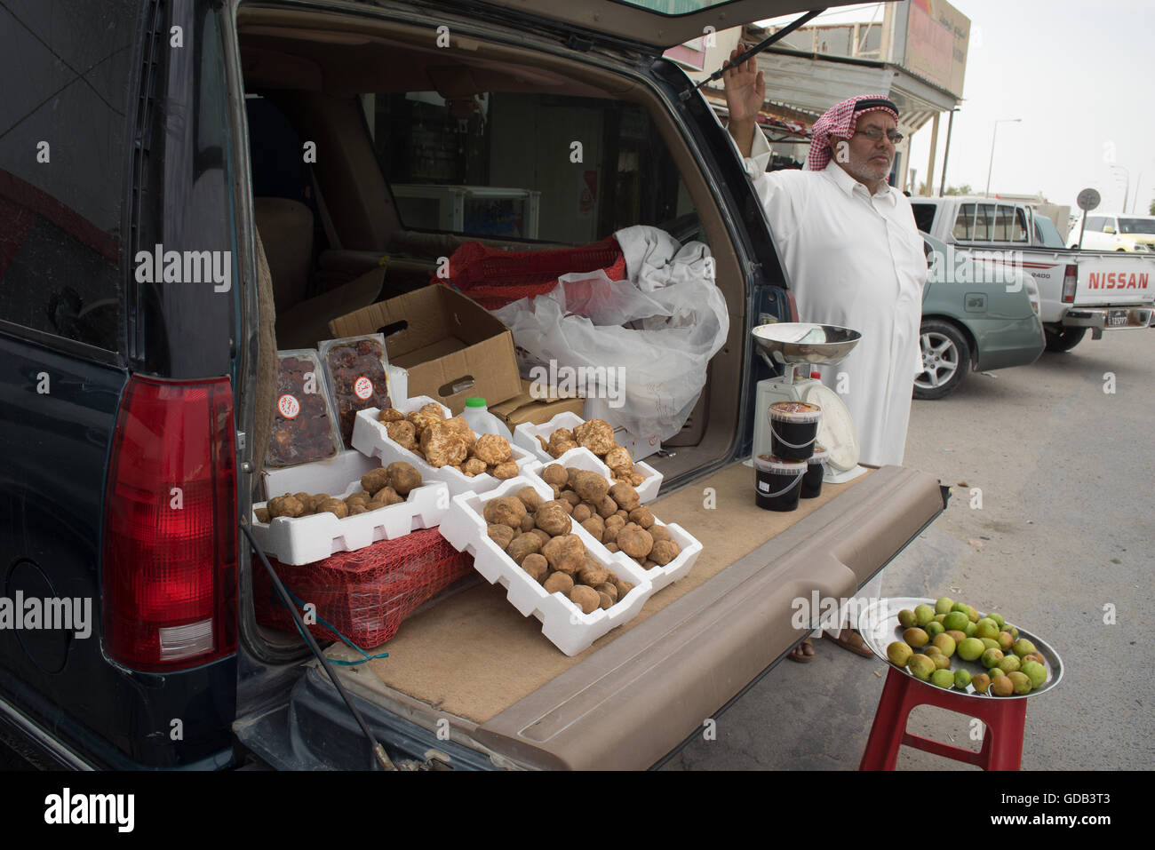 Les truffes du désert rare à la vente à la piste de course de chameaux, Al Shahiniya, au nord de Doha, au Qatar. Banque D'Images