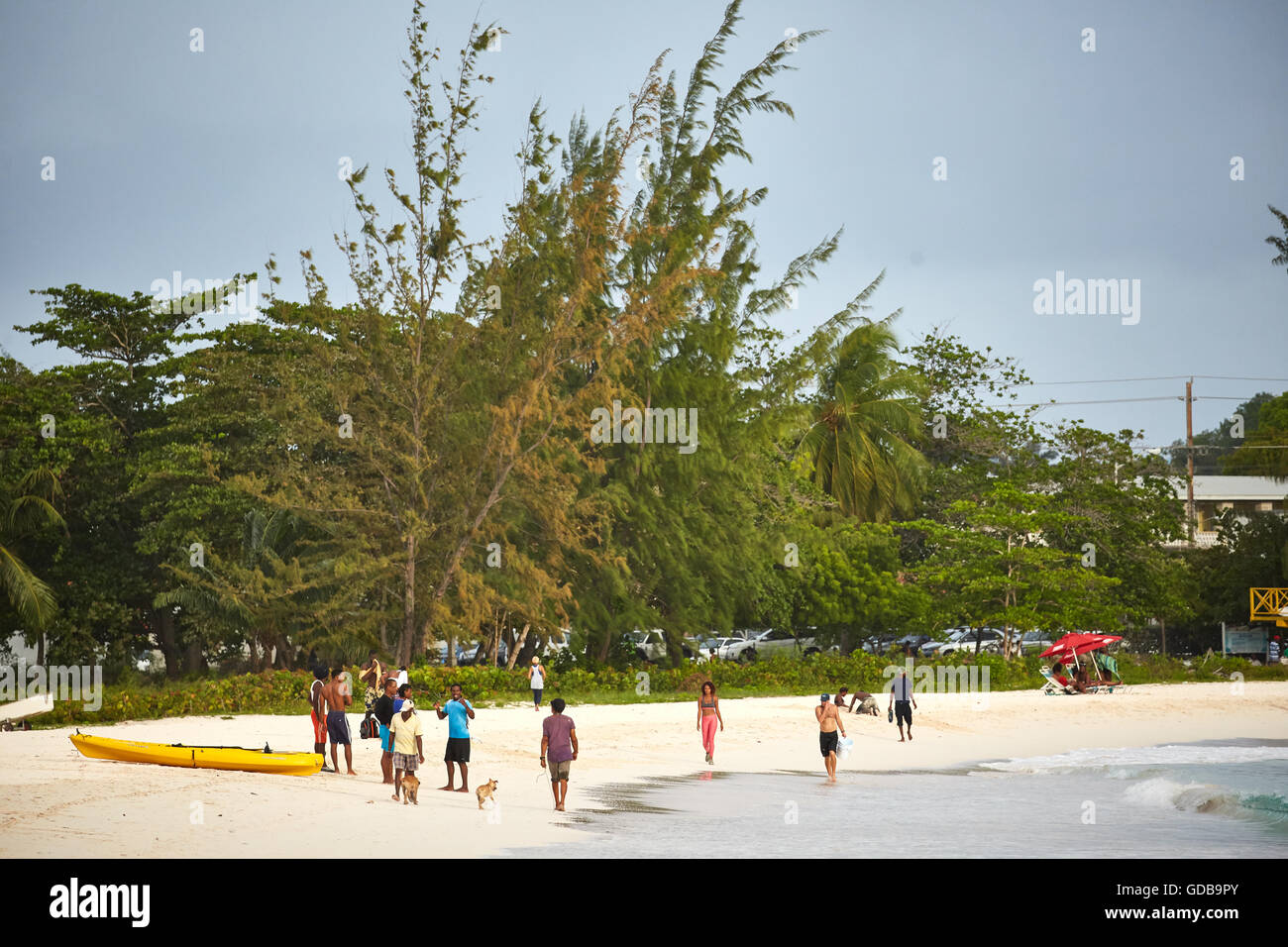 Les Petites Antilles La Barbade paroisse Saint Michael West indies Bridgetown capital plage côtière hêtre Brownes petit Carlisle Bay Banque D'Images