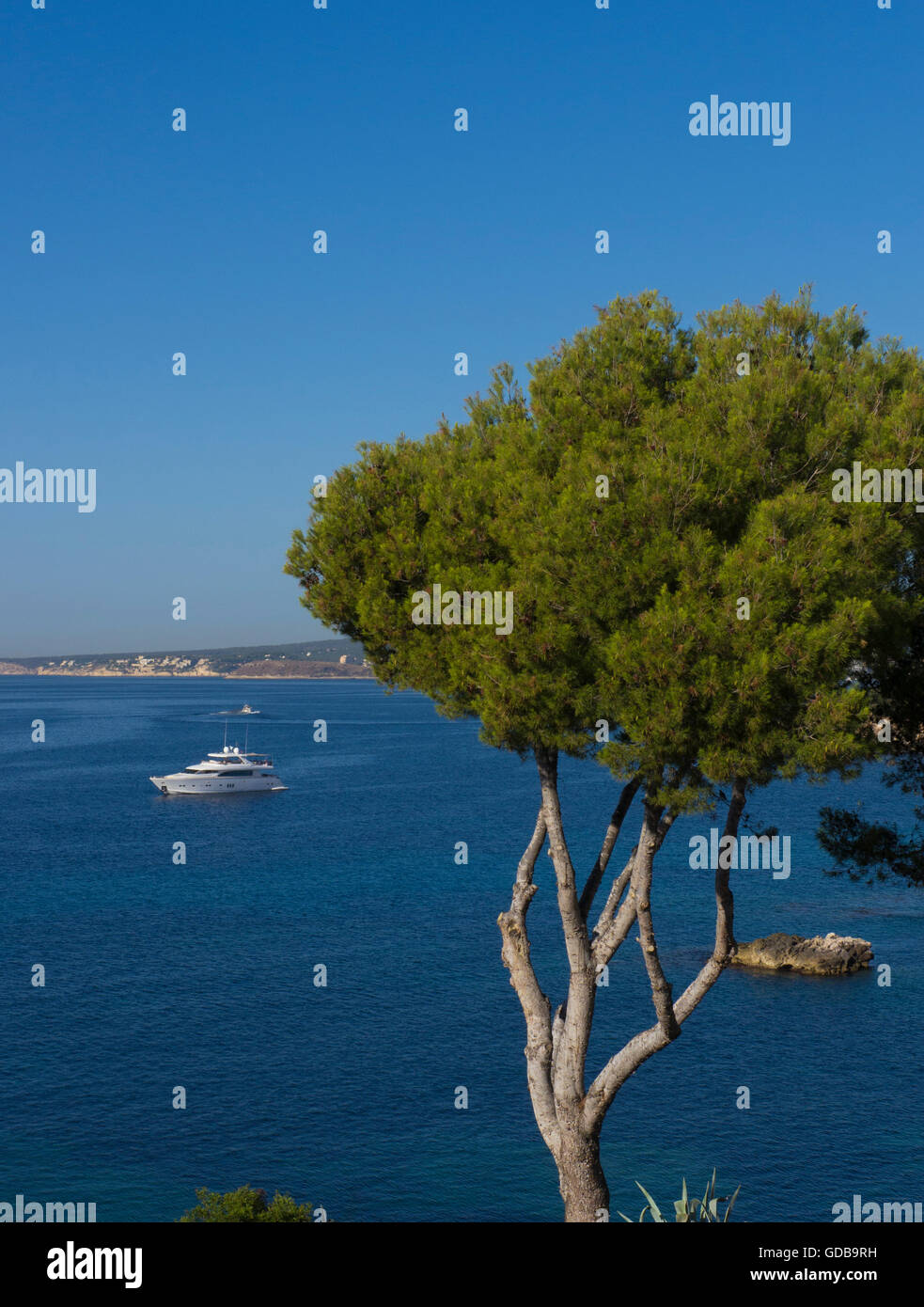 Cala Portals Nous, Majorque, îles Baléares, Espagne. Banque D'Images