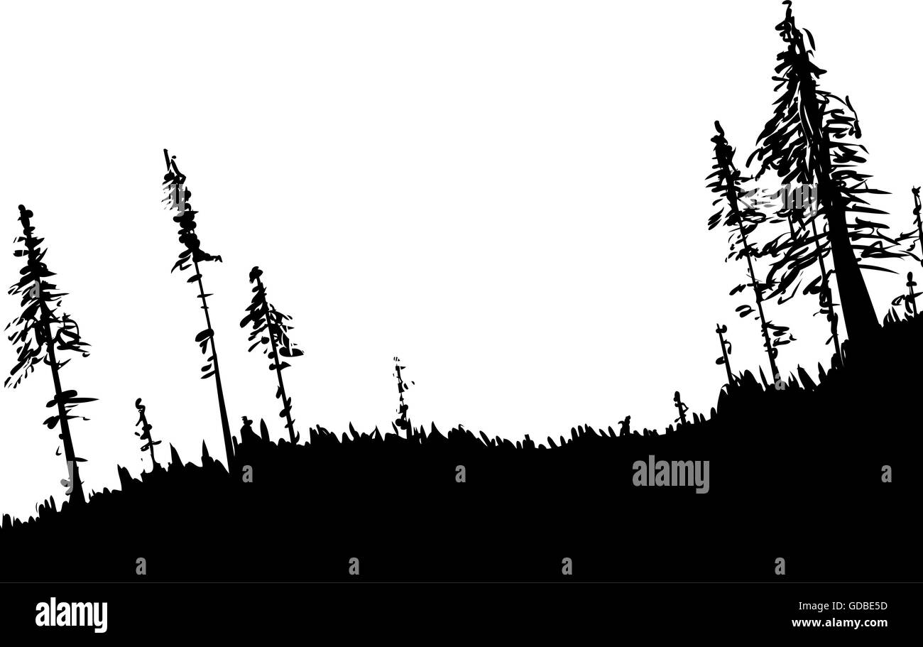 Illustration de rétro-éclairé de forestiers forêt suédoise low angle comme nature background Illustration de Vecteur