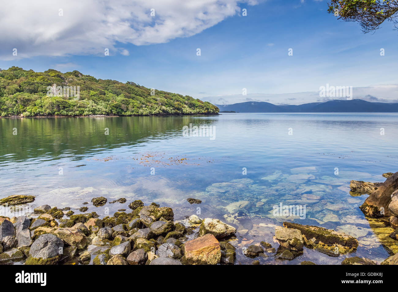 Vue sur Halfmoon Bay, l'île Stewart, Southland, Région de l'île du Sud, Nouvelle-Zélande Banque D'Images