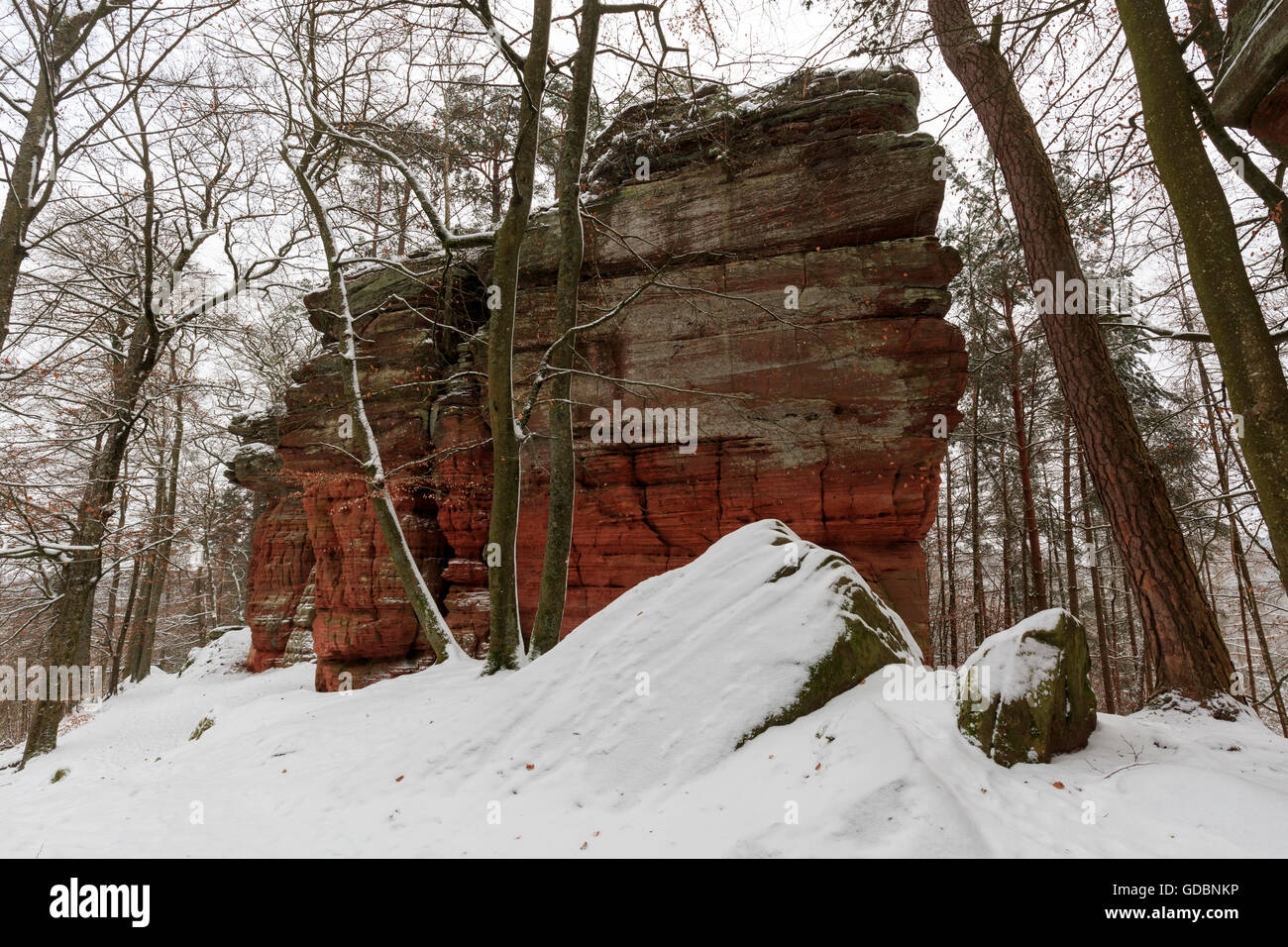 Monument naturel, l'hiver, Altschlossfelsen, Eppenbrunn, Rhénanie-Palatinat, Allemagne Banque D'Images