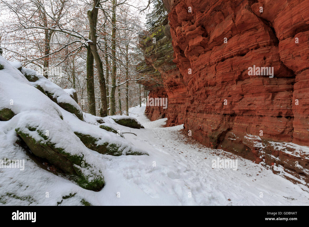 Monument naturel, l'hiver, Altschlossfelsen, Eppenbrunn, Rhénanie-Palatinat, Allemagne Banque D'Images