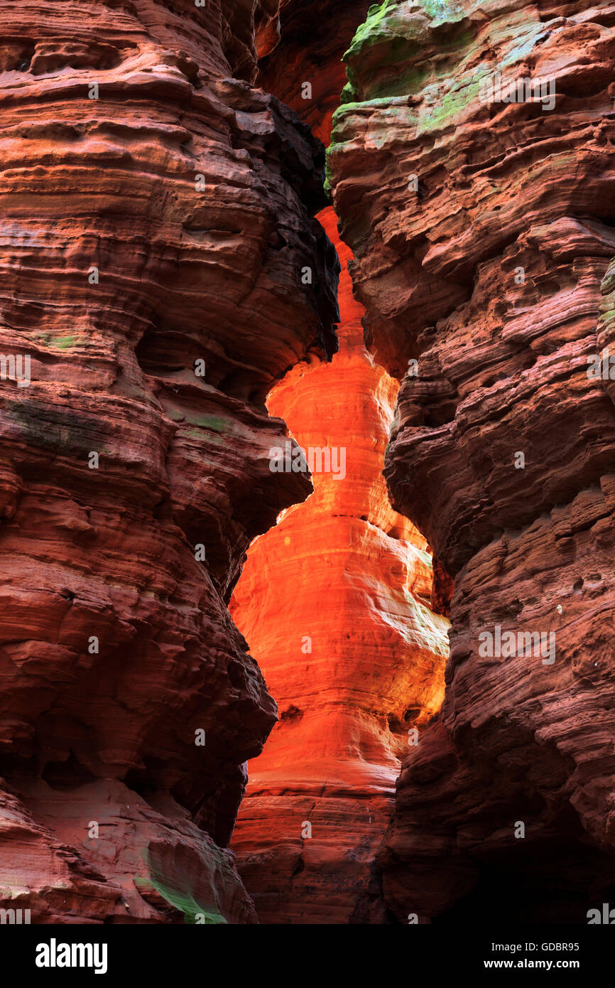 Monument naturel, l'Altschlossfelsen, des roches, des bougies Eppenbrunn, Rhénanie-Palatinat, Allemagne Banque D'Images