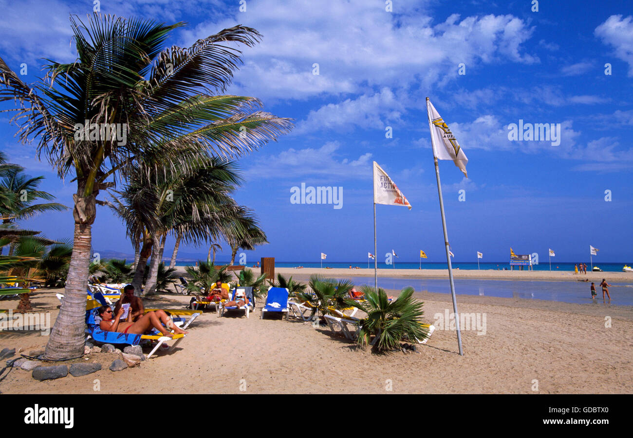 La plage de Sotavento, Fuerteventura, Îles Canaries, Espagne Banque D'Images