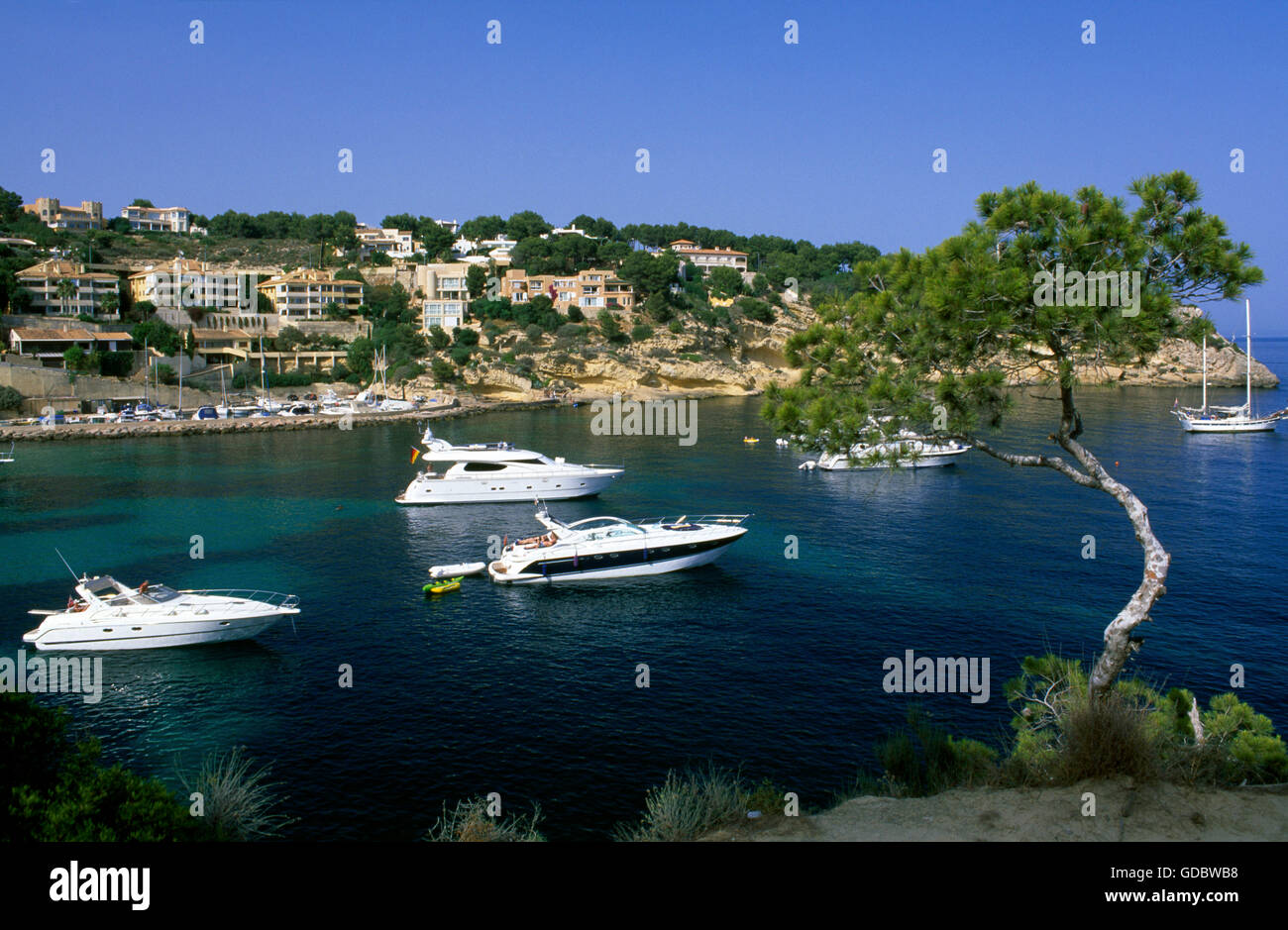 Portals Vells, Majorque, Îles Baléares, Espagne Banque D'Images