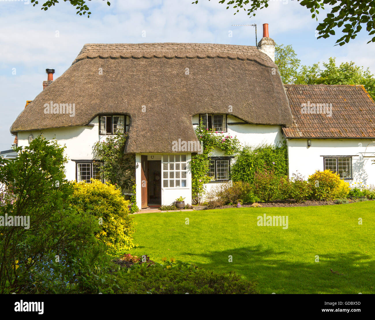 Jolie chaumière historique et jardin, Vega, Wiltshire, England, UK Banque D'Images