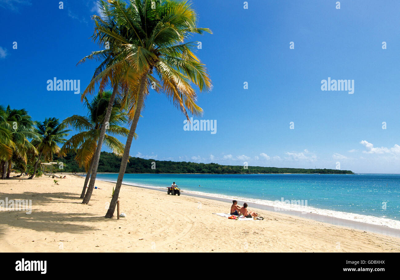 Sun Bay Beach sur l'île de Vieques, Puerto Rico, des Caraïbes Banque D'Images