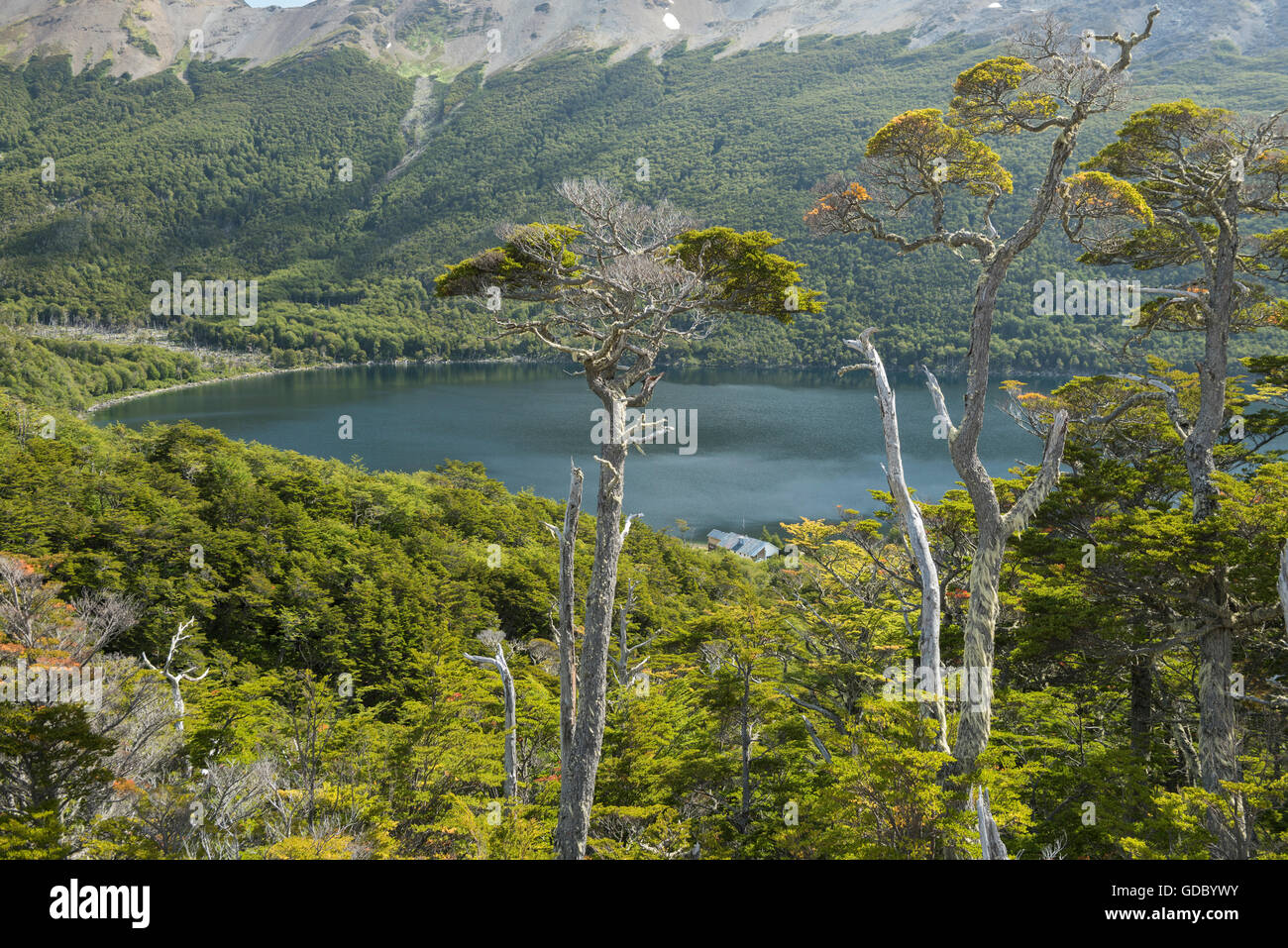 L'Amérique du Sud l'Argentine, Terre de Feu, le lac près de Ushuaia Banque D'Images