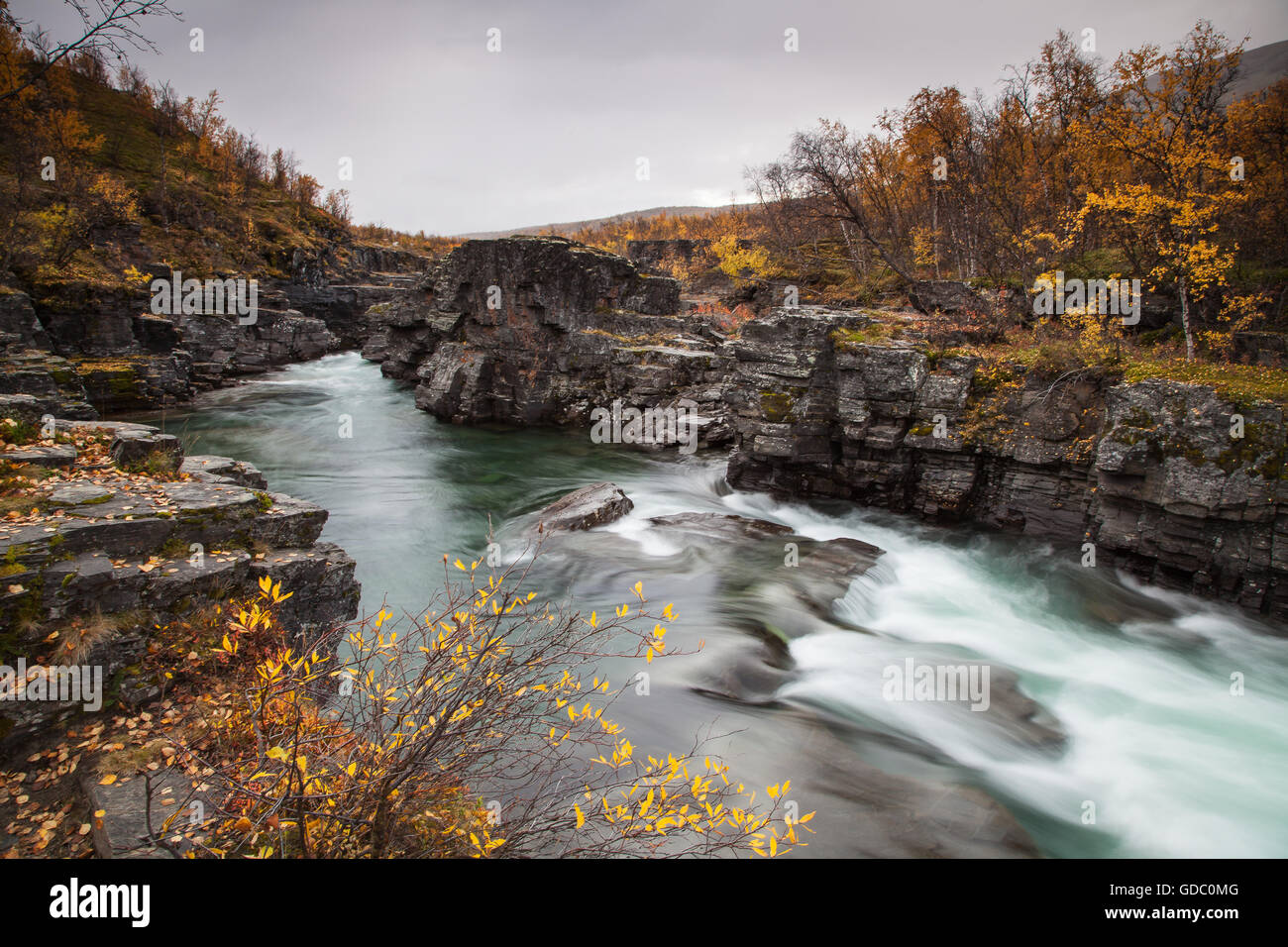 Abisko National Park,,Abiskojokka,canyon,europe,rivière, débit, Automne, couleurs de l'automne,scenery,paysage,Laponie,suédois,Scan Banque D'Images