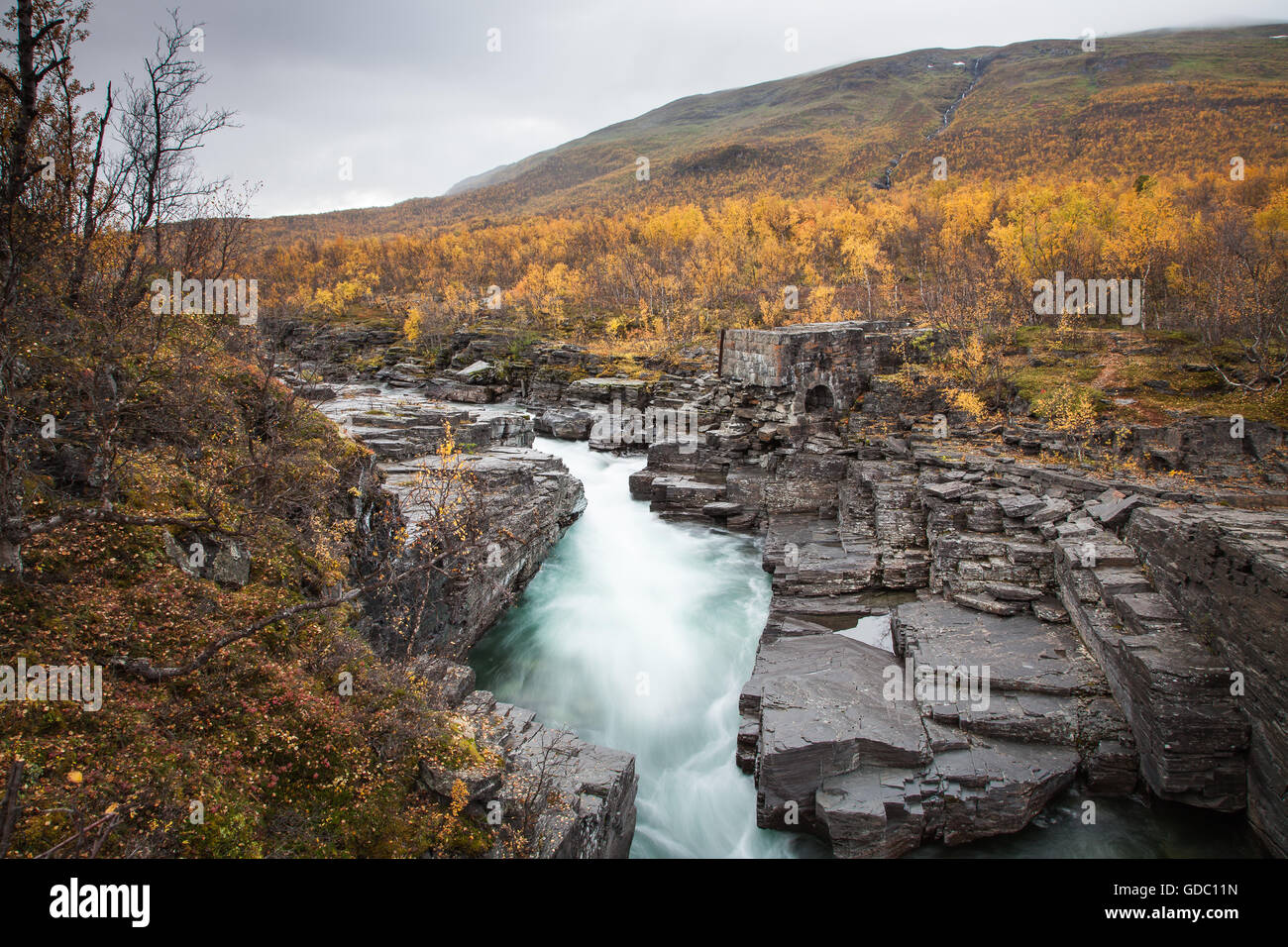 Abisko National Park,,Abiskojokka,canyon,europe,rivière, débit, Automne, couleurs de l'automne,scenery,paysage,Laponie,suédois,Scan Banque D'Images
