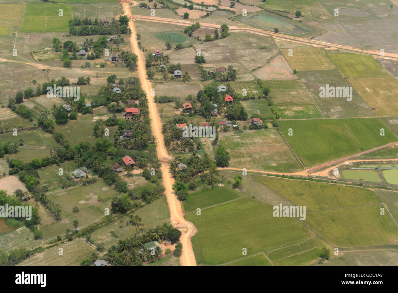 Le Paysage avec une rizière près de la ville de Siem Reap dans l'ouest du Cambodge. Banque D'Images