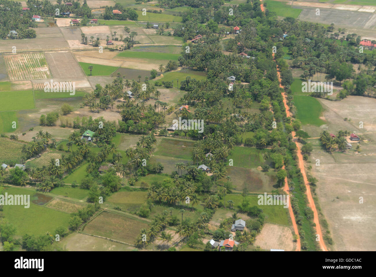 Le Paysage avec une rizière près de la ville de Siem Reap dans l'ouest du Cambodge. Banque D'Images