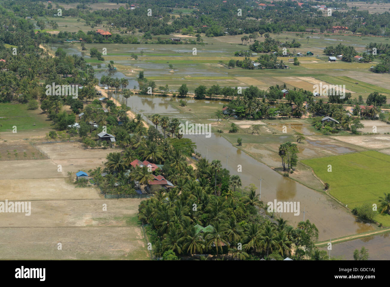 Le Paysage avec une rizière près de la ville de Siem Reap dans l'ouest du Cambodge. Banque D'Images