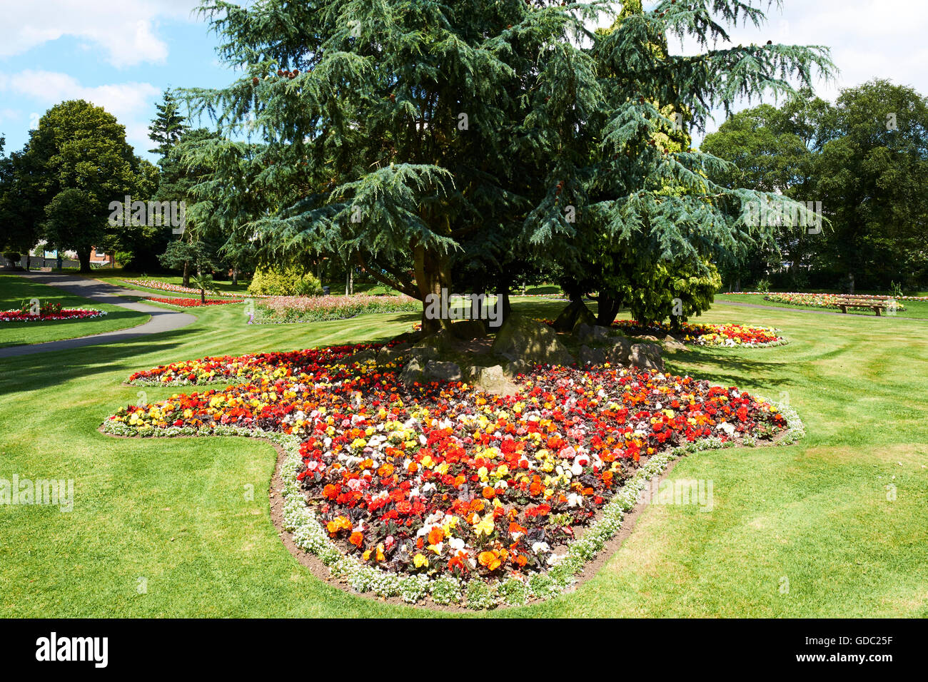 Fleurs dans le parc de bien-être mineurs Bedworth Warwickshire West Midlands UK Banque D'Images