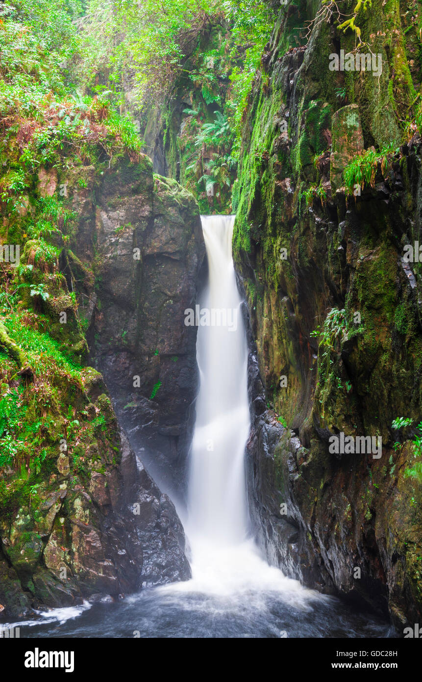 Cascade Force Stanley dans le Lake District, Eskdale, Cumbria, Angleterre. Banque D'Images