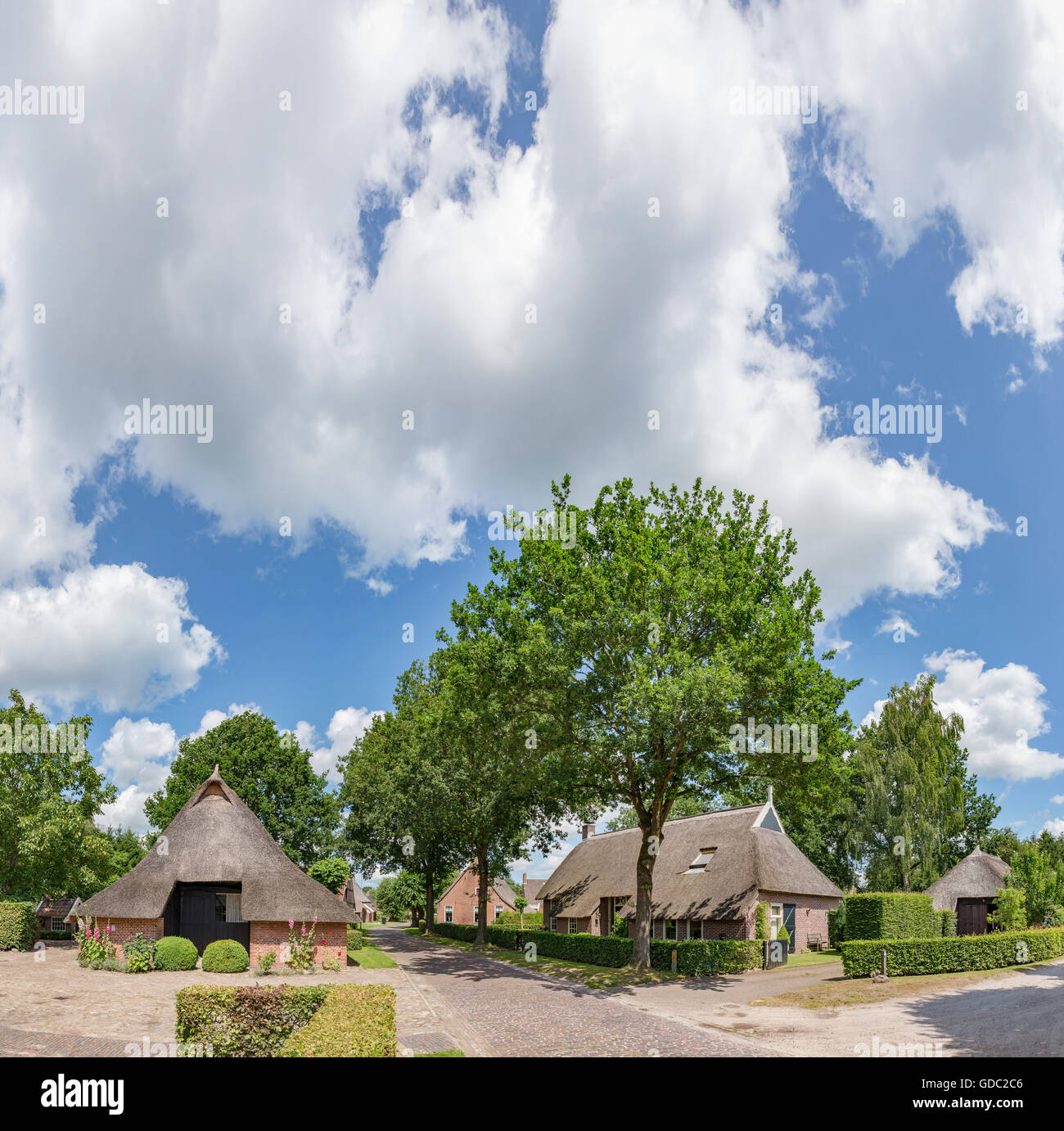 Norg,Drenthe,fermes avec un toit de chaume Banque D'Images