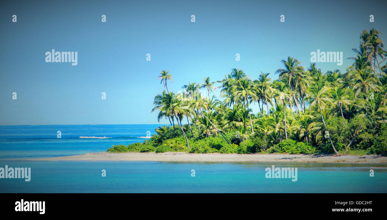 Fidji,South Pacific palms,plage,mer,mer,,island,Paradise Cove,paradise,plage de sable,idyl,turquoise,sable Banque D'Images