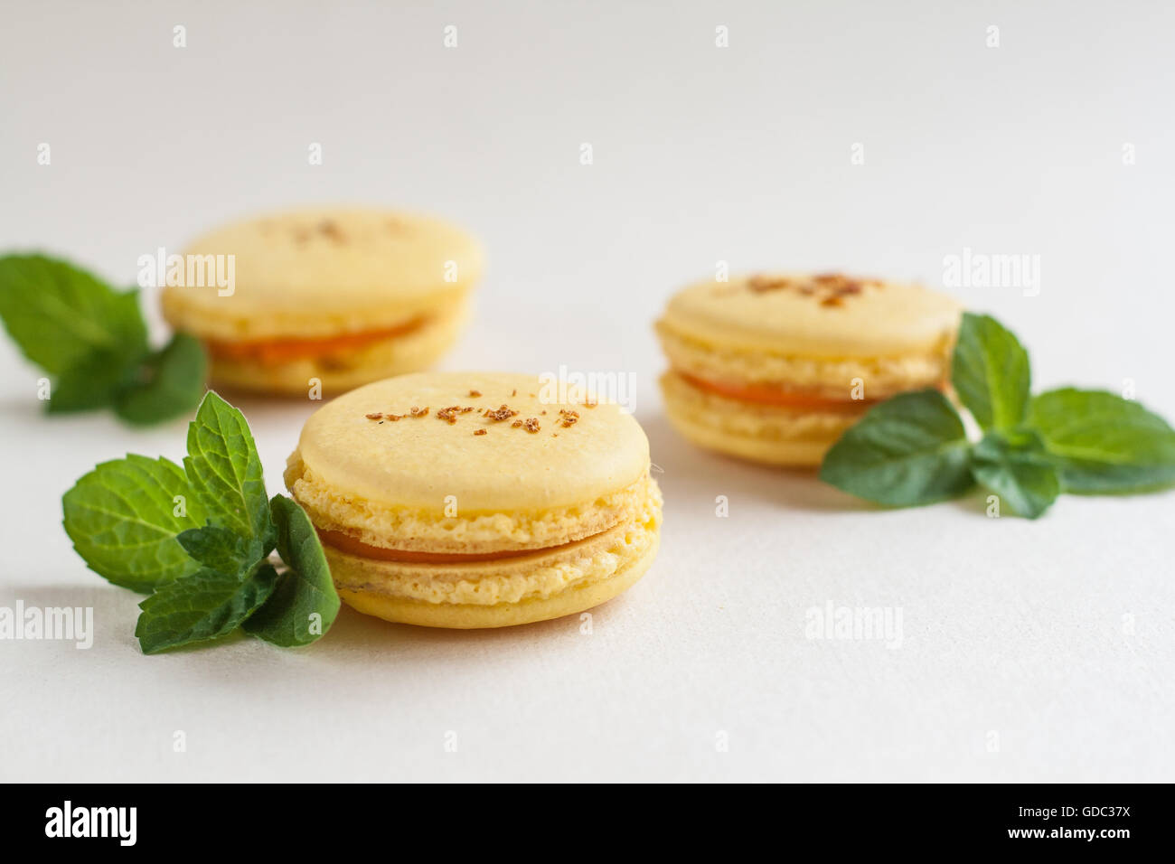 Fleur jaune et gâteaux macaron à la menthe. Banque D'Images